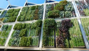 I giardini verticali trasformano le pareti urbane in oasi rigogliose, migliorando l'estetica e la qualità dell'aria