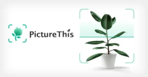 PictureThis