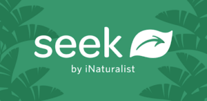 Seek by iNaturalist